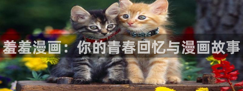 酷漫屋app下载安装